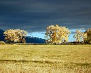 Sunlit Feilds at the Everson Ranch in Fall - John Lorenz