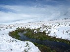 Hot Springs Creek Keeps Flowing All Year-round - Suzanne Ewy